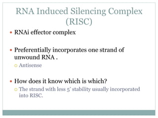 RNA Induced Silencing Complex
(RISC)
 RNAi effector complex
 Preferentially incorporates one strand of
unwound RNA .
 Antisense
 How does it know which is which?
 The strand with less 5’ stability usually incorporated
into RISC.
 