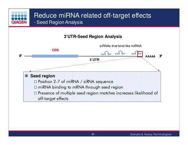 Si Rna 13 Si Rna 13