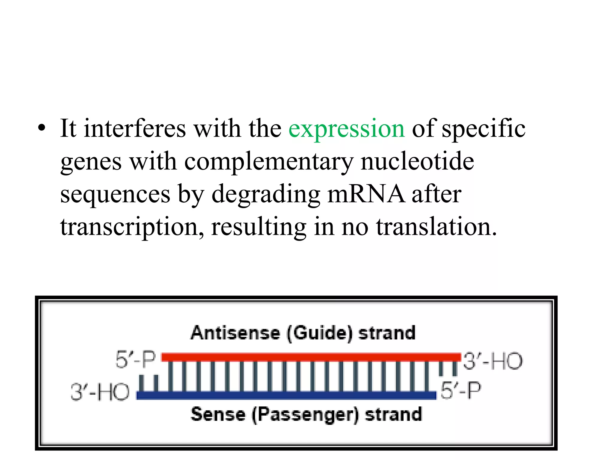 • It interferes with the expression of specific
genes with complementary nucleotide
sequences by degrading mRNA after
transcription, resulting in no translation.
 