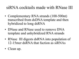 siRNA cocktails made with RNase III
• Complementary RNA strands (100-500nt)
transcribed from dsDNA template and then
hybridized to long dsRNA
• DNase and RNase used to remove DNA
template and unhybridized RNA strands
• RNase III digests dsRNA into population of
12-15mer dsRNA that fuction as siRNAs
• Clean up.
 