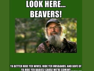 Si robertson revised
