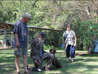 Si robertson revised