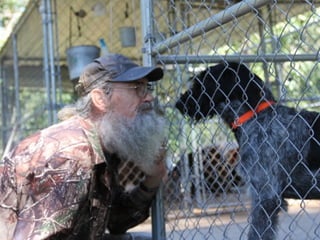 Si robertson revised
