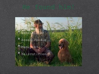 He found him!
Name:Killer
Breed:Poodle
Manly:NO
Haircut:French
 