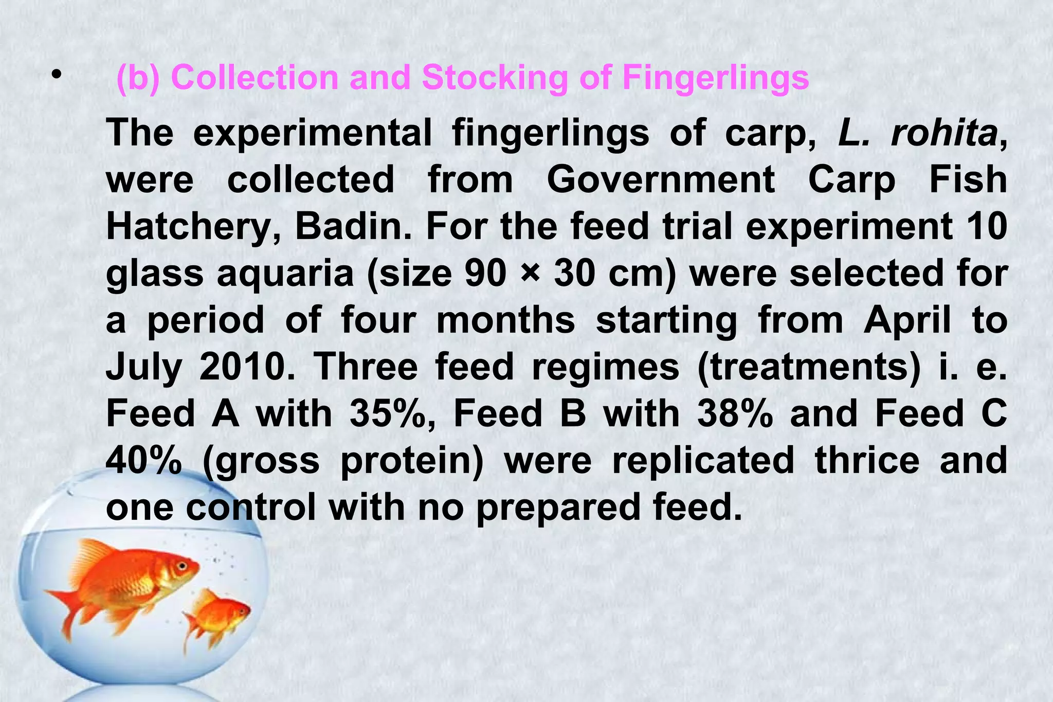 • (b) Collection and Stocking of Fingerlings
The experimental fingerlings of carp, L. rohita,
were collected from Government Carp Fish
Hatchery, Badin. For the feed trial experiment 10
glass aquaria (size 90 × 30 cm) were selected for
a period of four months starting from April to
July 2010. Three feed regimes (treatments) i. e.
Feed A with 35%, Feed B with 38% and Feed C
40% (gross protein) were replicated thrice and
one control with no prepared feed.
 