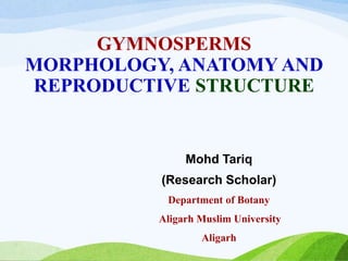 GYMNOSPERMS
MORPHOLOGY, ANATOMY AND
REPRODUCTIVE STRUCTURE
Mohd Tariq
(Research Scholar)
Department of Botany
Aligarh Muslim University
Aligarh
 