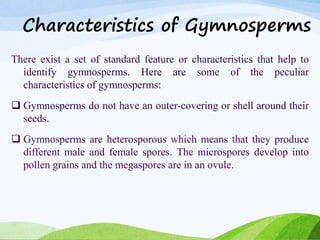 Characteristics of Gymnosperms
There exist a set of standard feature or characteristics that help to
identify gymnosperms. Here are some of the peculiar
characteristics of gymnosperms:
 Gymnosperms do not have an outer-covering or shell around their
seeds.
 Gymnosperms are heterosporous which means that they produce
different male and female spores. The microspores develop into
pollen grains and the megaspores are in an ovule.
 