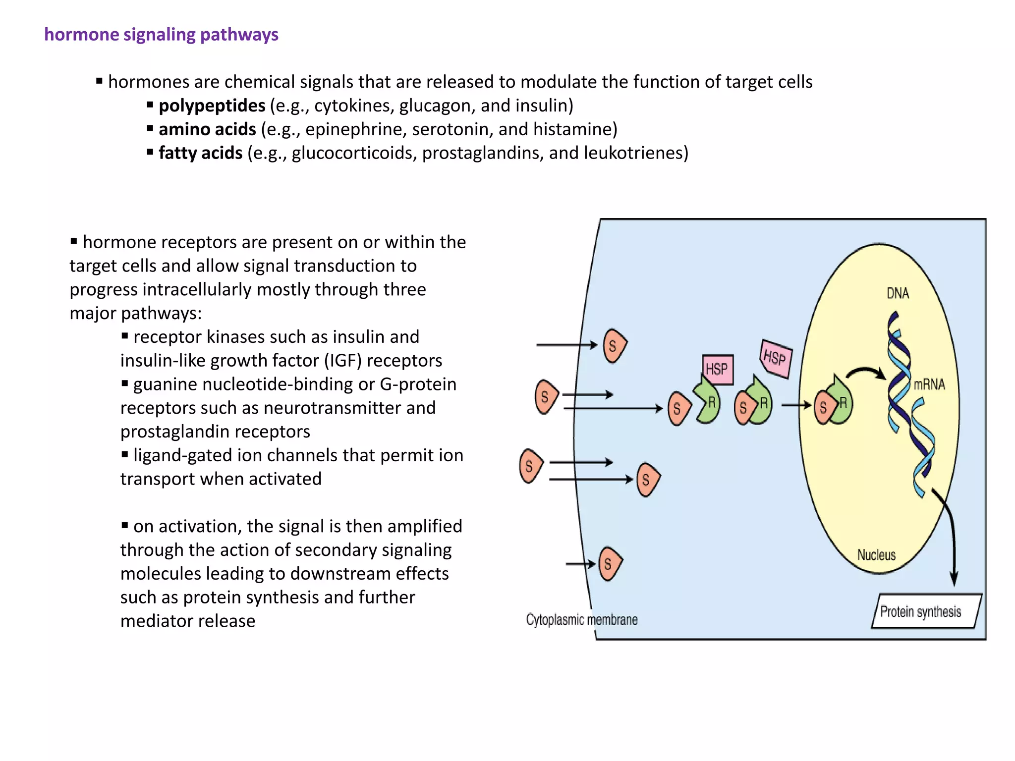hormone signaling pathways

      hormones are chemical signals that are released to modulate the function of target cells
            polypeptides (e.g., cytokines, glucagon, and insulin)
            amino acids (e.g., epinephrine, serotonin, and histamine)
            fatty acids (e.g., glucocorticoids, prostaglandins, and leukotrienes)



   hormone receptors are present on or within the
  target cells and allow signal transduction to
  progress intracellularly mostly through three
  major pathways:
          receptor kinases such as insulin and
         insulin-like growth factor (IGF) receptors
          guanine nucleotide-binding or G-protein
         receptors such as neurotransmitter and
         prostaglandin receptors
          ligand-gated ion channels that permit ion
         transport when activated

         on activation, the signal is then amplified
        through the action of secondary signaling
        molecules leading to downstream effects
        such as protein synthesis and further
        mediator release
 