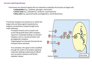hormone signaling pathways

      hormones are chemical signals that are released to modulate the function of target cell...
