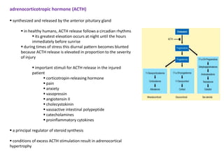adrenocorticotropic hormone (ACTH)

 synthesized and released by the anterior pituitary gland

       in healthy humans,...