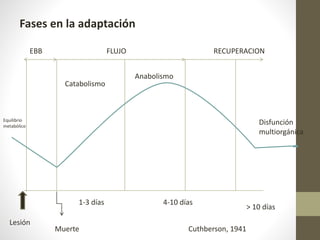 Fases en la adaptación
EBB FLUJO
Catabolismo
Anabolismo
RECUPERACION
Equilibrio
metabólico
Disfunción
multiorgánica
Lesión
Muerte
1-3 días 4-10 días
> 10 días
Cuthberson, 1941
 