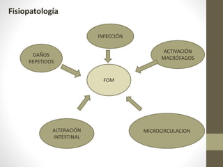 FOM
INFECCIÓN
ALTERACIÓN
INTESTINAL
MICROCIRCULACION
DAÑOS
REPETIDOS
ACTIVACIÓN
MACRÓFAGOS
Fisiopatología
 