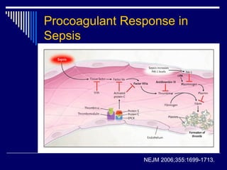Procoagulant Response in Sepsis NEJM 2006;355:1699-1713. 