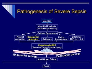 Pathogenesis of Severe Sepsis Infection Microbial Products (exotoxin/endotoxin) Cellular Responses Oxidases Platelet Activation Kinins Complement Coagulopathy/DIC Vascular/Organ System Injury Multi-Organ Failure Death Endothelial   damage Endothelial damage Coagulation Activation Cytokines TNF, IL-1, IL-6 