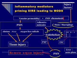 Inflammatory mediators priming SIRS leading to MODS   Vascular permeability ↑ ＋  PMN   chemotaxis Mono / Macrophage PMN elastase   PLA2  oxygen free radicals TNF  IL － 8  IL － 1 IL － 6 Liver ：  acute phase  Remote organ injury Tissue injury   Endothelium Injury factors PMN PAF Adhensive molecules DIC 