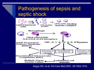 Pathogenesis of sepsis and septic shock Angus DC, et al .  Crit Care Med 2001, 29:1303-1310. 