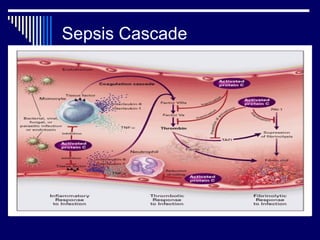 Sepsis Cascade 
