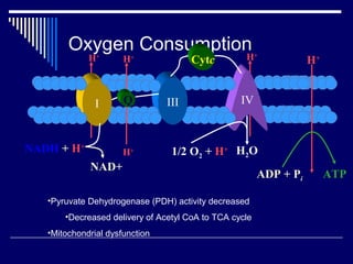Oxygen Consumption
             H+       H+              Cytc         H+              H+


               I      Q         III               IV



NADH + H+             H+         1/2 O2 + H+ H2O
             NAD+
                                                        ADP + Pi        ATP

   •Pyruvate Dehydrogenase (PDH) activity decreased
       •Decreased delivery of Acetyl CoA to TCA cycle
   •Mitochondrial dysfunction
 