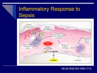 Inflammatory Response to
Sepsis




                NEJM 2006;355:1699-1713.
 