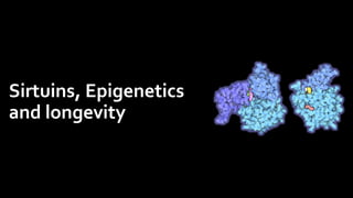 Sirtuins, Epigenetics
and longevity
 