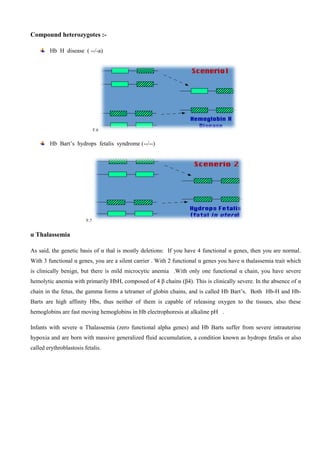Compound heterozygotes :-
Hb H disease ( --/-a)
F.6
Hb Bart’s hydrops fetalis syndrome (--/--)
F.7
α Thalassemia
As said, the genetic basis of α thal is mostly deletions: If you have 4 functional α genes, then you are normal.
With 3 functional α genes, you are a silent carrier . With 2 functional α genes you have α thalassemia trait which
is clinically benign, but there is mild microcytic anemia .With only one functional α chain, you have severe
hemolytic anemia with primarily HbH, composed of 4 β chains (β4). This is clinically severe. In the absence of α
chain in the fetus, the gamma forms a tetramer of globin chains, and is called Hb Bart’s. Both Hb-H and Hb-
Barts are high affinity Hbs, thus neither of them is capable of releasing oxygen to the tissues, also these
hemoglobins are fast moving hemoglobins in Hb electrophoresis at alkaline pH .
Infants with severe α Thalassemia (zero functional alpha genes) and Hb Barts suffer from severe intrauterine
hypoxia and are born with massive generalized fluid accumulation, a condition known as hydrops fetalis or also
called erythroblastosis fetalis.
 