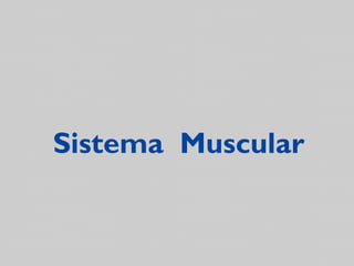 Sistema Muscular

 