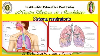Sistema respiratorio
Lic. De La Cruz Valenzuela, Yenny
 