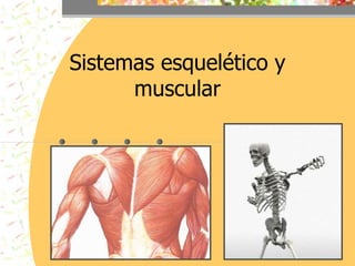Sistemas esquelético y
muscular
 