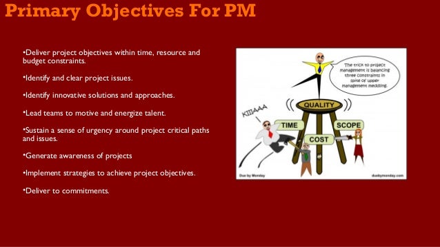 project objectives