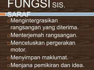 KLASIFIKASI SIS. SARAFSARAF PERIFERITerdiridaripada : sarafkranial, saraf spinal dan ganglia.