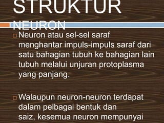 Klasifikasifungsionalhanyamelibatkansarafperiferisahaja yang bolehdibahagikankepada : :sis. sensori/aferen:sis. motor/eferenSis. Motor pula bolehdibahagikankepada: sis. sarafsomatik: sis. sarafautonomik