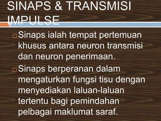 SARAF PERIFERISisteminiterdiridarisaraf-sarafunjurandariotakdansaraftunjang. Saraf-sarafsensori (aferen) membawaimpulsdarireseptorsensoripelbagaibahagiantubuhkesistemsarafpusatSaraf motor (eferen) membawaimpulsdarisistemsarafpusatke organ-organ, otot-ototdankelenjaruntukmenghasilkansesuatuperlakuan.Sistemsarafperiferibolehdiklasifikasikankepada : sis. sarafsomatik & sis. sarafautonomik. Sistemsarafsomatikmembolehkankawalanotot-ototrangka. Sistemsarafautonomikmengawalaturaktiviti-aktivitiotot-ototkardiakdanlicinsertakelenjar yang diluarkawalan.