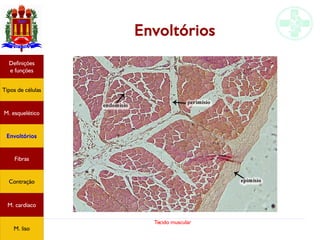 Tecido muscular
Envoltórios
Tipos de células
Definições
e funções
Fibras
M. esquelético
Envoltórios
Contração
M. cardíaco
M. liso
 