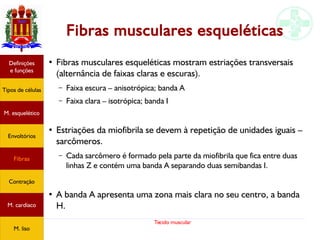 Tecido muscular
Fibras musculares esqueléticas
●
Fibras musculares esqueléticas mostram estriações transversais
(alternância de faixas claras e escuras).
– Faixa escura – anisotrópica; banda A
– Faixa clara – isotrópica; banda I
●
Estriações da miofibrila se devem à repetição de unidades iguais –
sarcômeros.
– Cada sarcômero é formado pela parte da miofibrila que fica entre duas
linhas Z e contém uma banda A separando duas semibandas I.
●
A banda A apresenta uma zona mais clara no seu centro, a banda
H.
Tipos de células
Definições
e funções
Fibras
M. esquelético
Envoltórios
Contração
M. cardíaco
M. liso
 