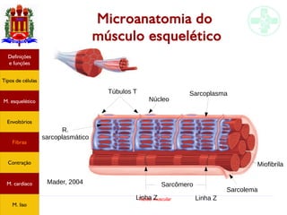 Tecido muscular
Microanatomia do
músculo esquelético
Túbulos T
Núcleo
Sarcoplasma
R.
sarcoplasmático
Sarcolema
Miofibrila
Linha Z Linha Z
SarcômeroMader, 2004
Tipos de células
Definições
e funções
Fibras
M. esquelético
Envoltórios
Contração
M. cardíaco
M. liso
 