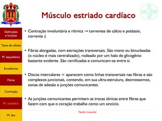 Tecido muscular
Músculo estriado cardíaco
●
Contração involuntária e rítmica correntes de cálcio e potássio,→
corrente If
●
Fibras alongadas, com estriações transversais. São mono ou binucleadas
(o núcleo é mais centralizado), rodeado por um halo de glicogênio
bastante evidente. São ramificadas e comunicam-se entre si.
●
Discos intercalares = aparecem como linhas transversais nas fibras e são
complexos juncionais, contendo, em sua ultra-estrutura, desmossomos,
zonas de adesão e junções comunicantes.
●
As junções comunicantes permitem as trocas iônicas entre fibras que
fazem com que o coração trabalhe como um sincício.
Tipos de células
Definições
e funções
Fibras
M. esquelético
Envoltórios
Contração
M. cardíaco
M. liso
 