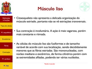 Tecido muscular
Músculo liso
●
Citoesqueleto não apresenta a delicada organização do
músculo estriado, portanto não se vê estriações transversais.
●
Sua contração é involuntária. A ação é mais vagarosa, porém
mais constante e ritmada.
●
As células do músculo liso são fusiformes e de tamanho
variável de acordo com sua localização, sendo decididamente
menores que as fibras estriadas. São mononucleadas, com
núcleo mediano e excêntrico, de forma cilíndrica porém com
as extremidades afiladas, podendo ter vários nucléolos.
Tipos de células
Definições
e funções
Fibras
M. esquelético
Envoltórios
Contração
M. cardíaco
M. liso
 