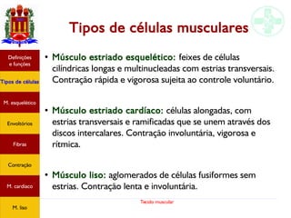 Tecido muscular
Tipos de células musculares
● Músculo estriado esquelético: feixes de células
cilíndricas longas e multinucleadas com estrias transversais.
Contração rápida e vigorosa sujeita ao controle voluntário.
● Músculo estriado cardíaco: células alongadas, com
estrias transversais e ramificadas que se unem através dos
discos intercalares. Contração involuntária, vigorosa e
rítmica.
● Músculo liso: aglomerados de células fusiformes sem
estrias. Contração lenta e involuntária.
Tipos de células
Definições
e funções
Fibras
M. esquelético
Envoltórios
Contração
M. cardíaco
M. liso
 