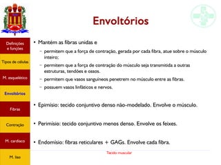 Tecido muscular
Envoltórios
●
Mantém as fibras unidas e
– permitem que a força de contração, gerada por cada fibra, atue sobre o músculo
inteiro;
– permitem que a força de contração do músculo seja transmitida a outras
estruturas, tendões e ossos.
– permitem que vasos sanguíneos penetrem no músculo entre as fibras.
– possuem vasos linfáticos e nervos.
●
Epimísio: tecido conjuntivo denso não-modelado. Envolve o músculo.
●
Perimísio: tecido conjuntivo menos denso. Envolve os feixes.
●
Endomísio: fibras reticulares + GAGs. Envolve cada fibra.
Tipos de células
Definições
e funções
Fibras
M. esquelético
Envoltórios
Contração
M. cardíaco
M. liso
 