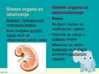 Sistem organa za
izlučivanje
Bubrezi, mokraćovodi,
mokraćna bešika
Kod mužjaka izvodni
kanal služi za
izbacivanje polnih ćelija
Sistem organa za
razmnožavanje
Polno
Mužjaci i ženke se
razlikuju po izgledu
Razviće se odvija u
materici majke
Mladunci su okom
trudnoće sa majkom
povezani pupčanom
vrpcom
 
