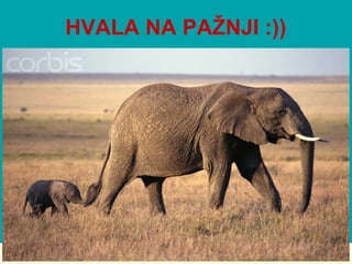 HVALA NA PAŽNJI :))
 