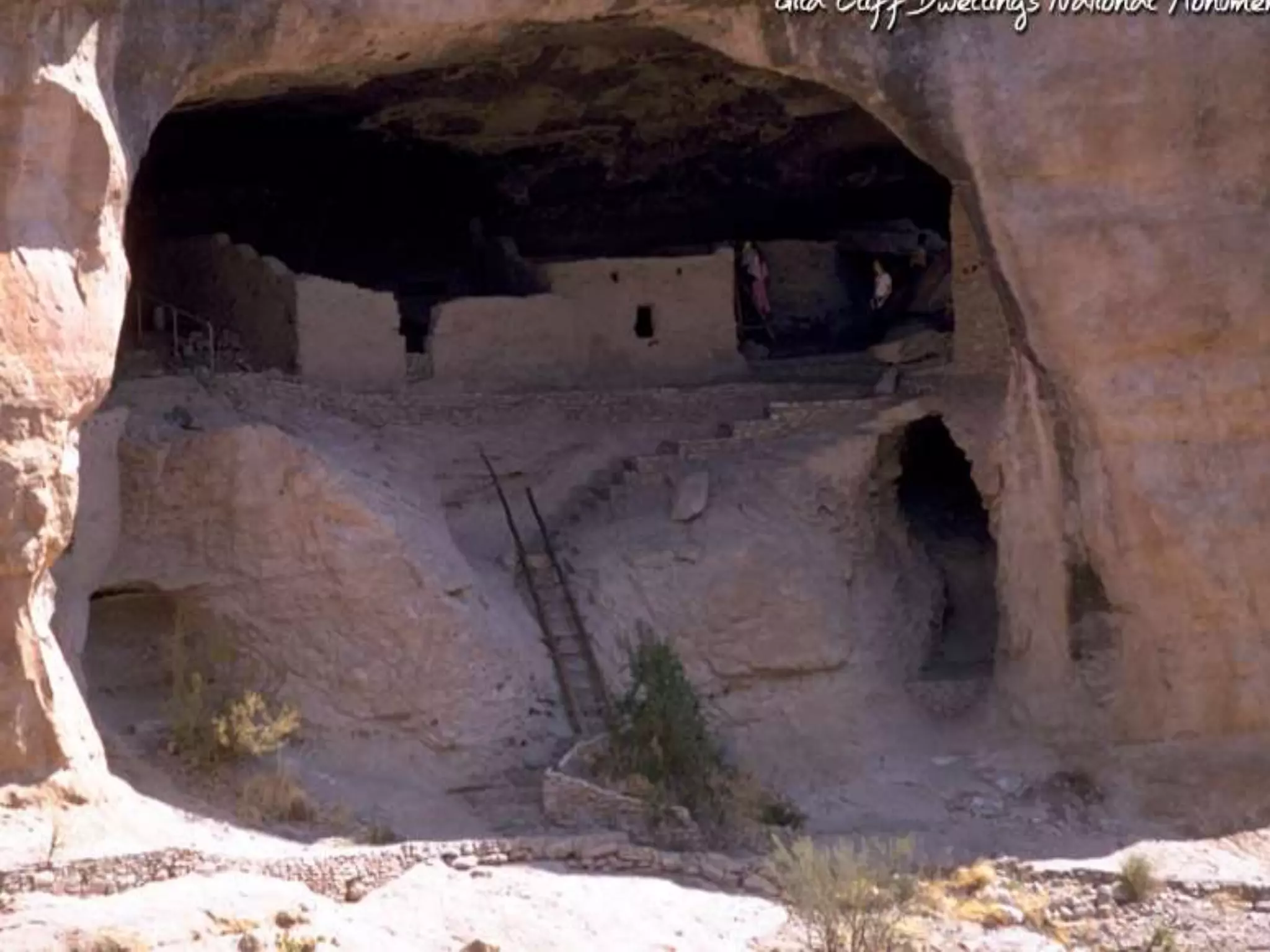 We have always searched 11