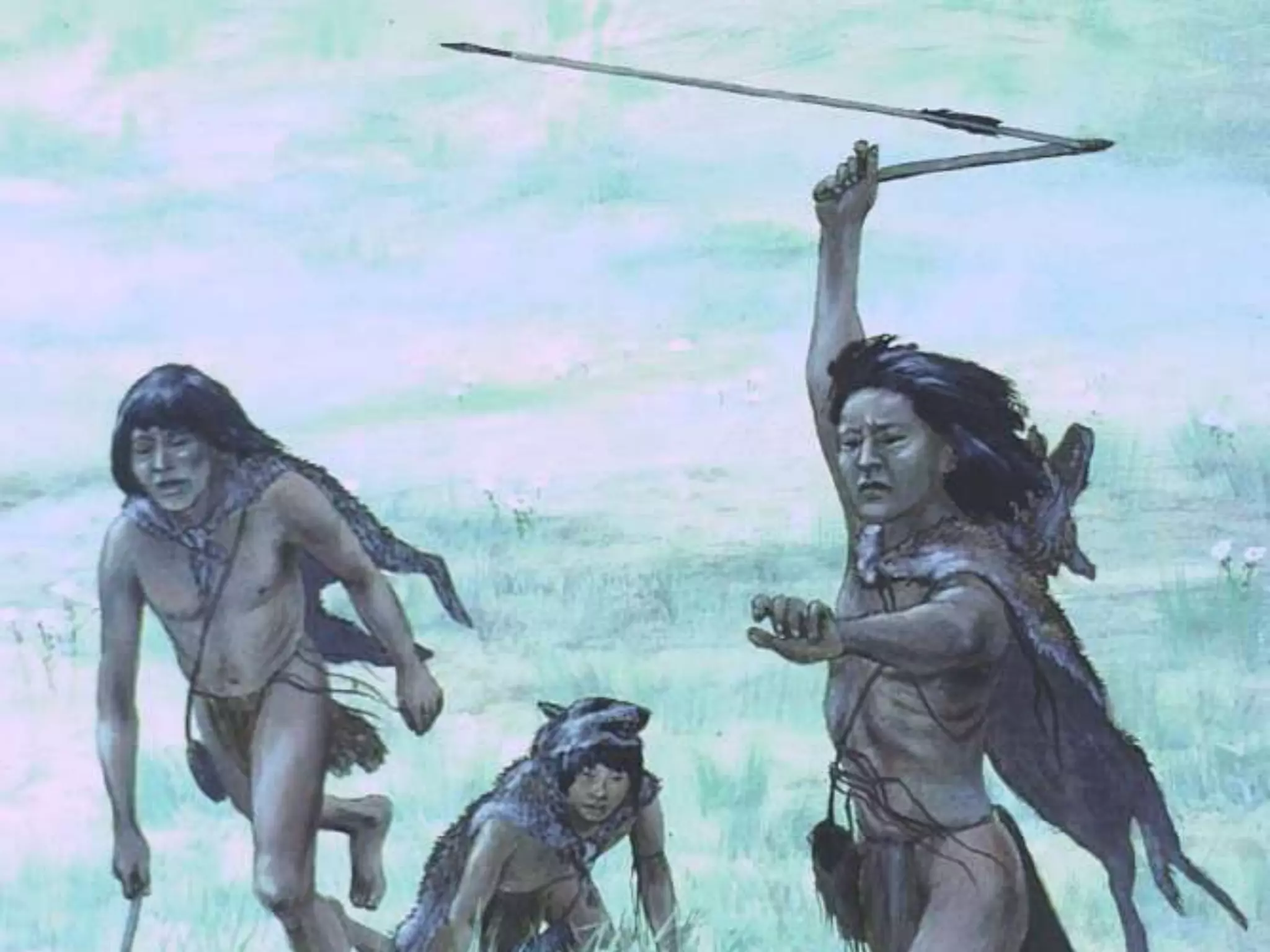 We have always searched 9