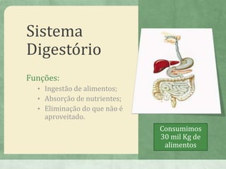 Sistema
Digestório
Funções:
• Ingestão de alimentos;
• Absorção de nutrientes;
• Eliminação do que não é
aproveitado.
Consumimos
30 mil Kg de
alimentos
 