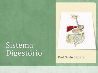 Sistema
Digestório Prof. Saulo Bezerra
 