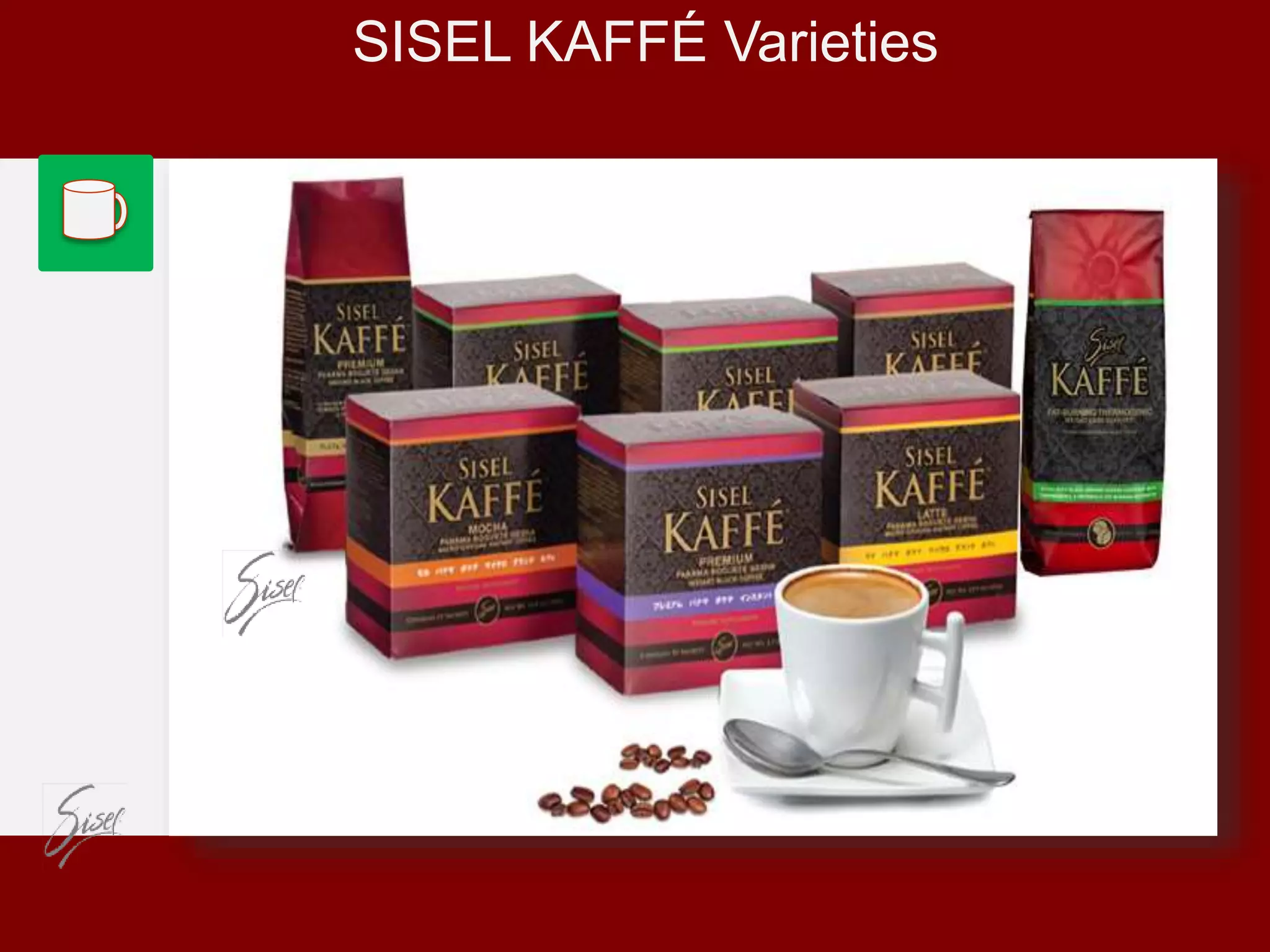 Sisel Business Presentation Overview 2015 | PPT