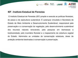 IEF - Instituto Estadual de Florestas

O Instituto Estadual de Florestas (IEF) propõe e executa as políticas florestais,
de pesca e de aqüicultura sustentável. É autarquia vinculada à Secretaria de
Estado de Meio Ambiente e Desenvolvimento Sustentável, responsável pela
preservação e a conservação da vegetação, pelo desenvolvimento sustentável
dos   recursos   naturais   renováveis;   pela   pesquisa   em    biomassas    e
biodiversidade; pelo inventário florestal e o mapeamento da cobertura vegetal
do Estado. Administra as unidades de conservação estaduais, áreas de
proteção ambiental destinadas à conservação e preservação.
 