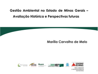 Gestão Ambiental no Estado de Minas Gerais –
 Avaliação Histórica e Perspectivas futuras




                      Marília Carvalho de Melo
 