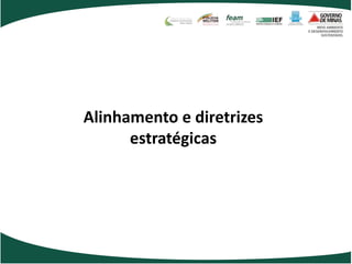 Alinhamento e diretrizes
      estratégicas
 