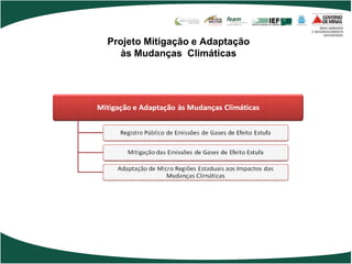 Projeto Mitigação e Adaptação
  às Mudanças Climáticas
 